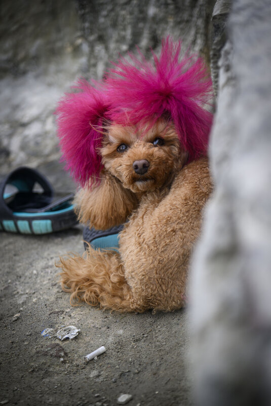такая вот леди... - Осень такая вот леди... - Осень