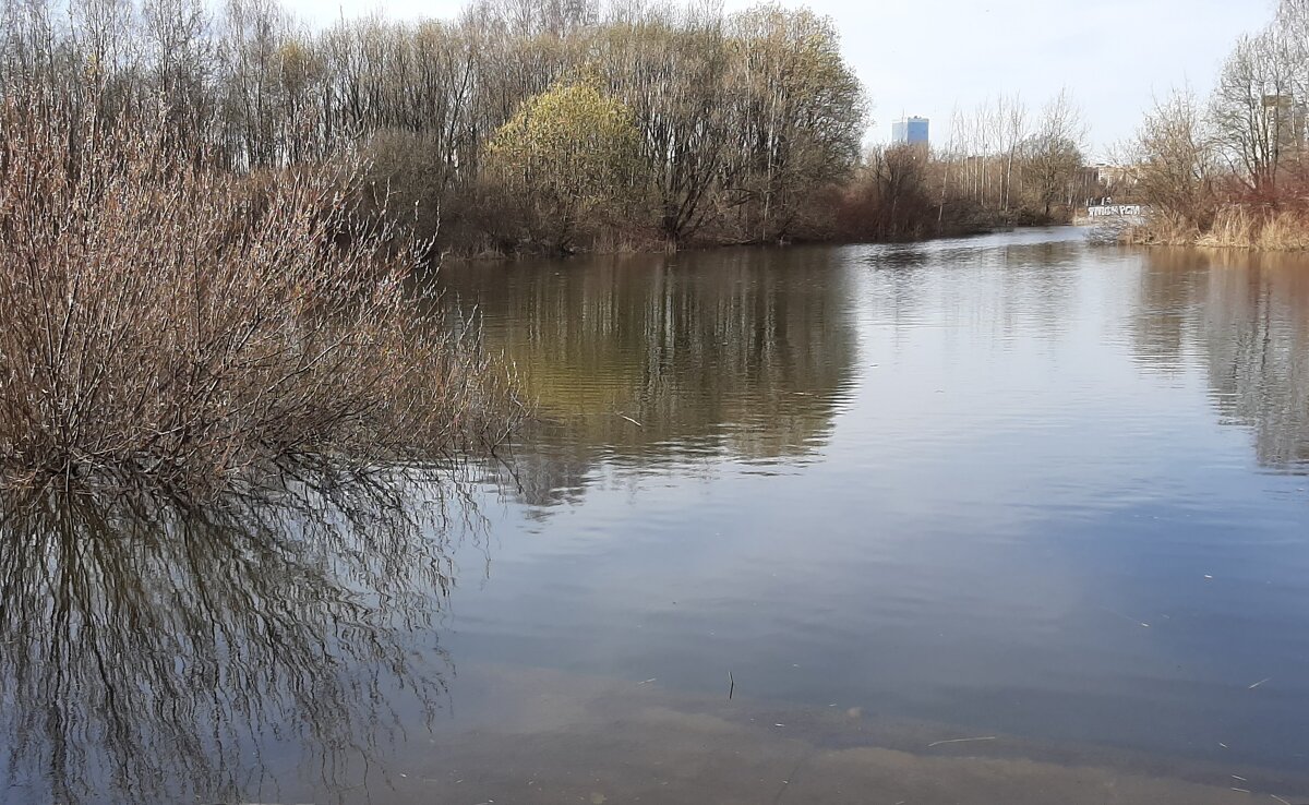 Пулковский парк - Наталья Герасимова Пулковский парк - Наталья Герасимова