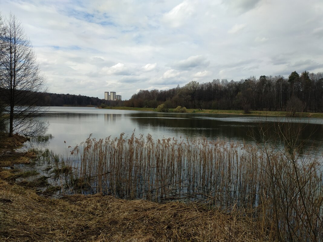 Страстной четверг не был солнечным - Андрей Лукьянов