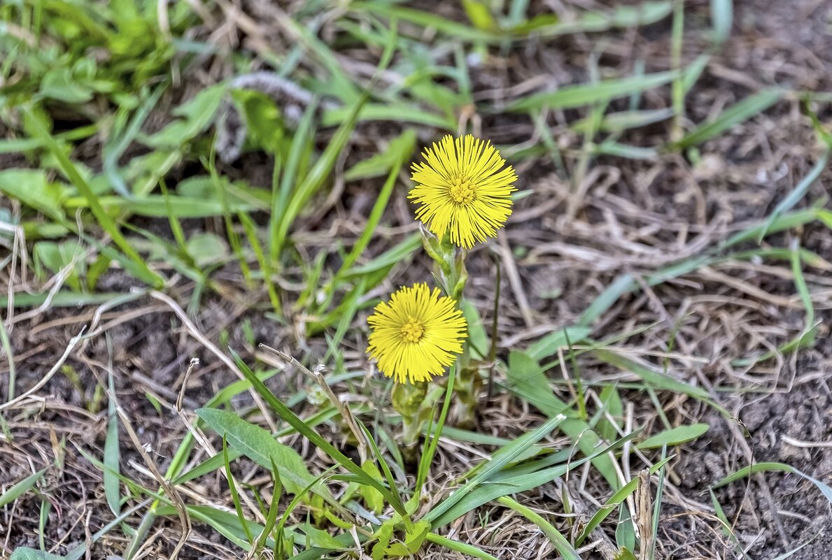 Апрельские - Валерий Иванович Апрельские - Валерий Иванович