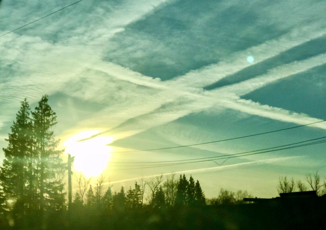 Не экологично…наверное) но красиво) - Альбина 