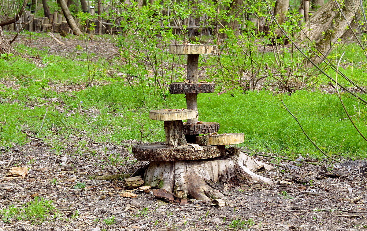 Кормушка - Сеня Белгородский