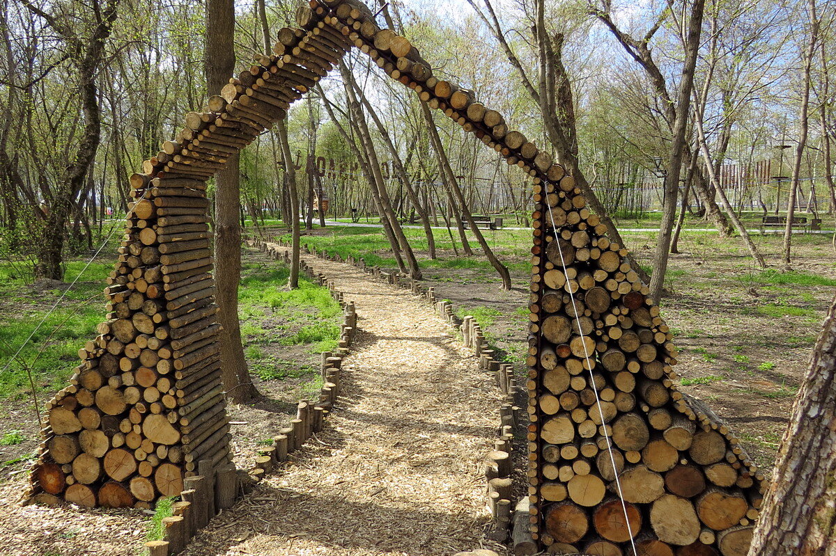 Вход в сказочный лес - Сеня Белгородский