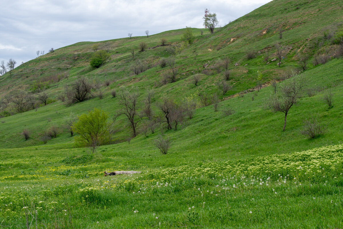 Апрель - Игорь Сикорский