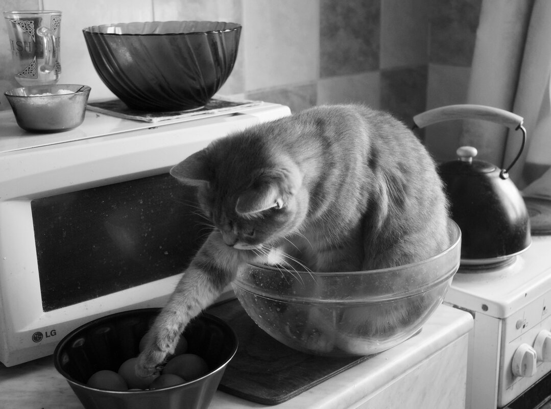 Курочка Ряба - Maria Rainer