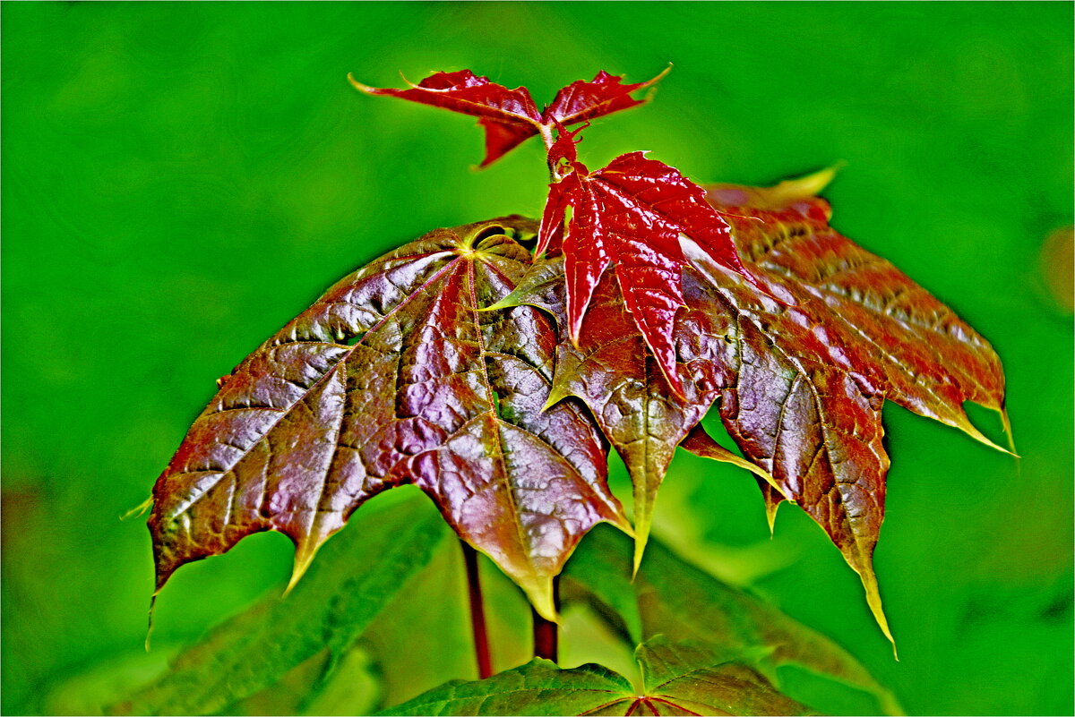 ЭТЮД - Юрий Владимирович 34 ЭТЮД - Юрий Владимирович 34