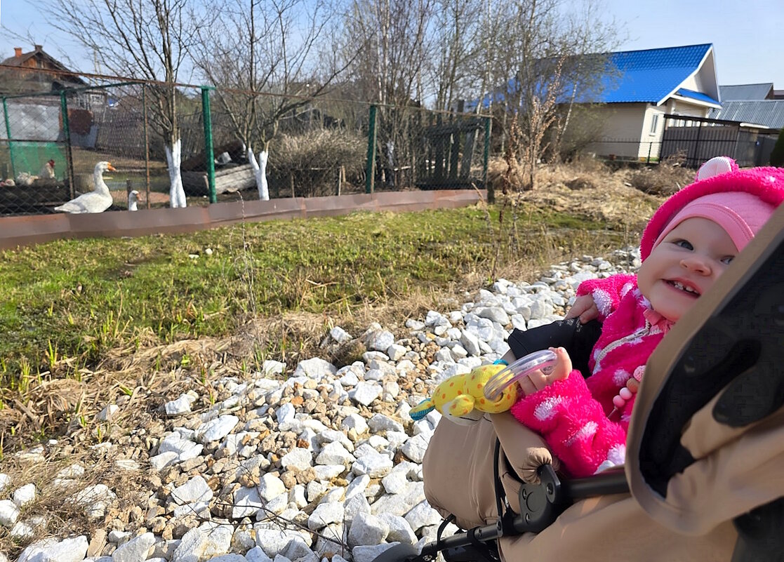 Знакомство с сельской жизнью. - Ольга Довженко