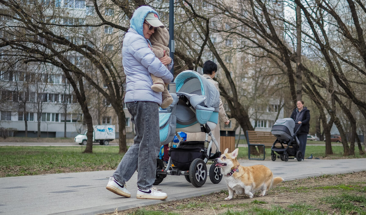 Пргулки в Весеннем Парке - юрий поляков Пргулки в Весеннем Парке - юрий поляков
