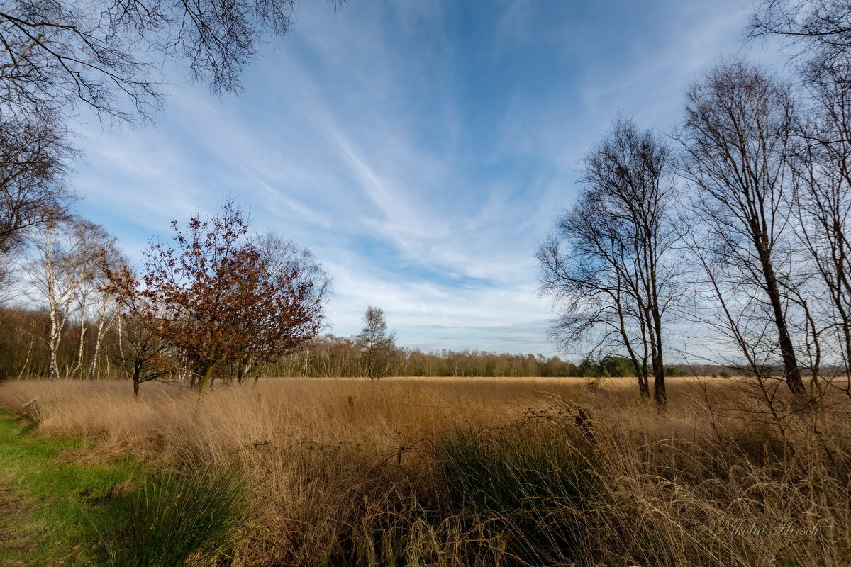 Ветер перемен... - Николай Гирш Ветер перемен... - Николай Гирш