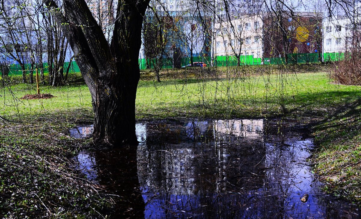 Омовение. - Василий Палий