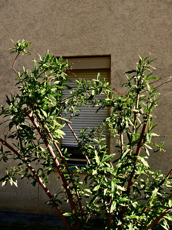 Весенние зарисовки 89 - Алексей Кузнецов