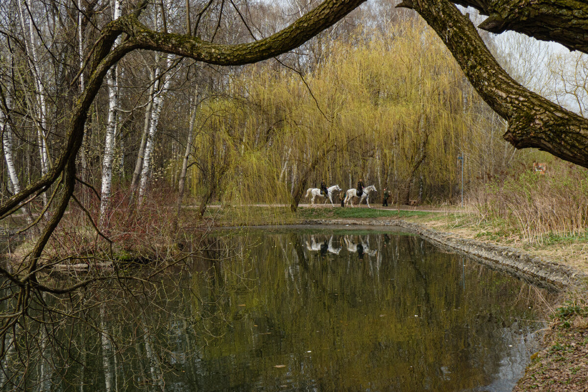 На Путяевских прудах в Москве. - Василий Ярославцев На Путяевских прудах в Москве. - Василий Ярославцев