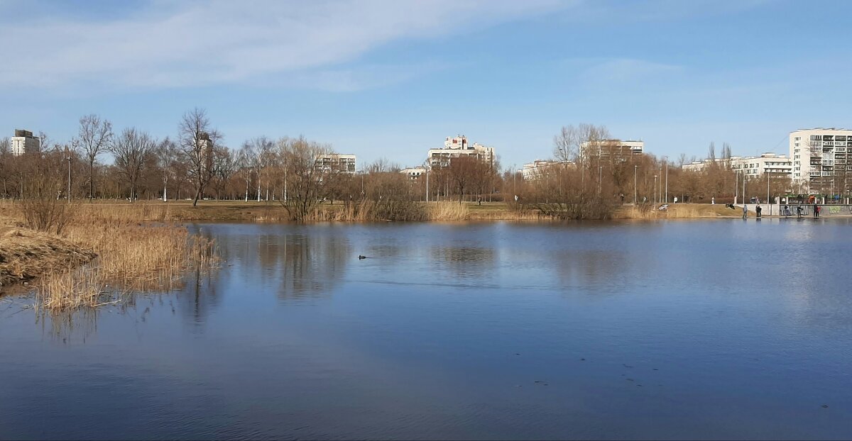Пулковский парк - Наталья Герасимова Пулковский парк - Наталья Герасимова