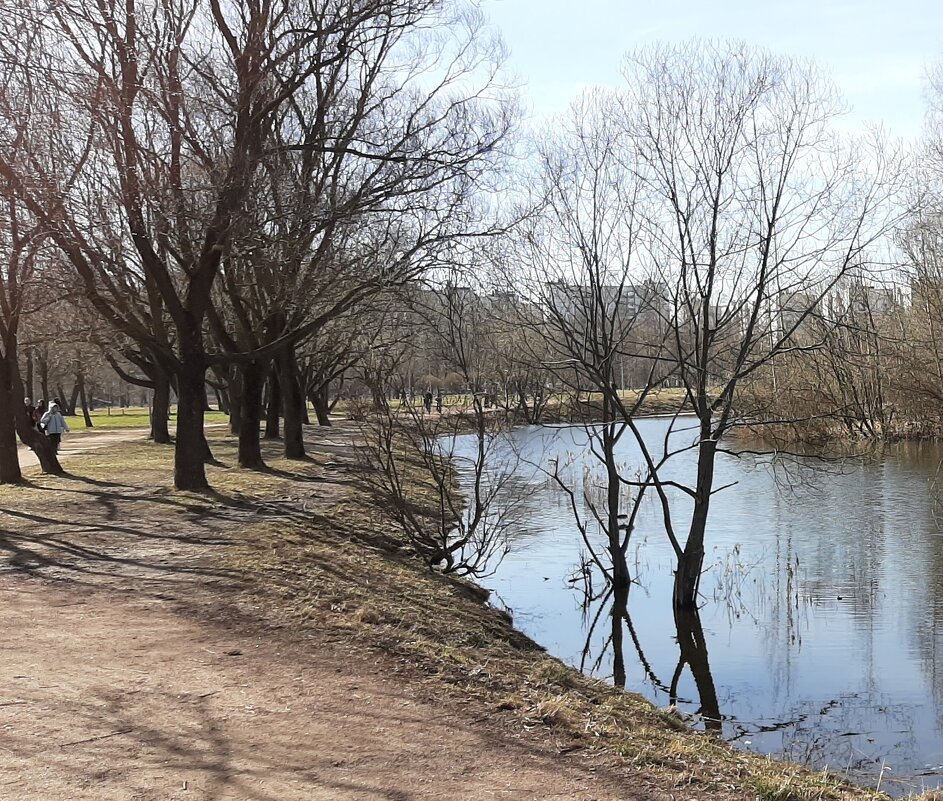 Прозрачность апреля - Наталья Герасимова Прозрачность апреля - Наталья Герасимова