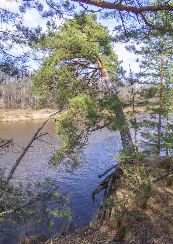 На краю - Сергей Цветков На краю - Сергей Цветков