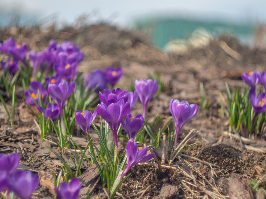 ___ - Yuriy V ___ - Yuriy V