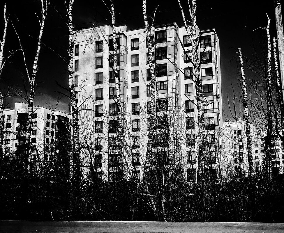 ***** - Алексей Архипов