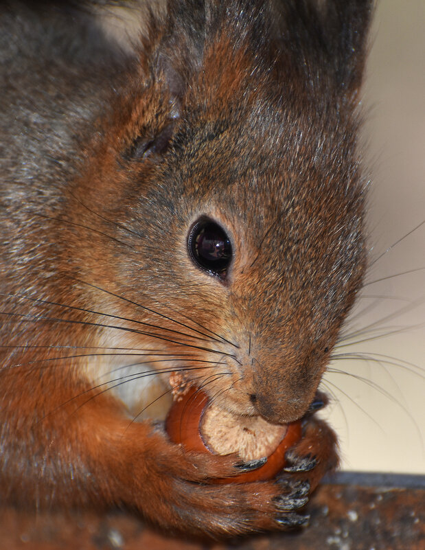Москва. Воронцовский парк. Портрет. - Наташа ***** Москва. Воронцовский парк. Портрет. - Наташа *****