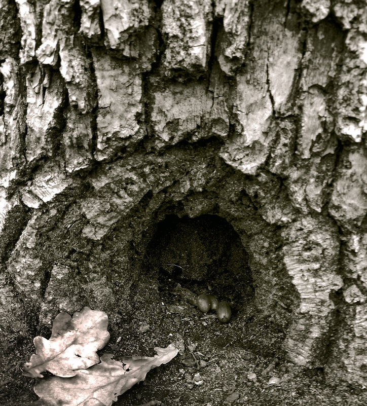 *** - Валентина Береснева *** - Валентина Береснева