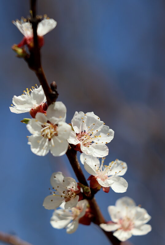 Начало - Александр Кондаков