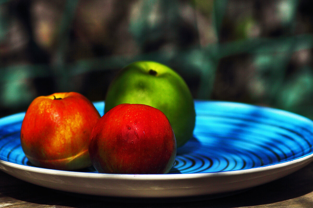 Яблоки - Юрий Гайворонскiий Яблоки - Юрий Гайворонскiий