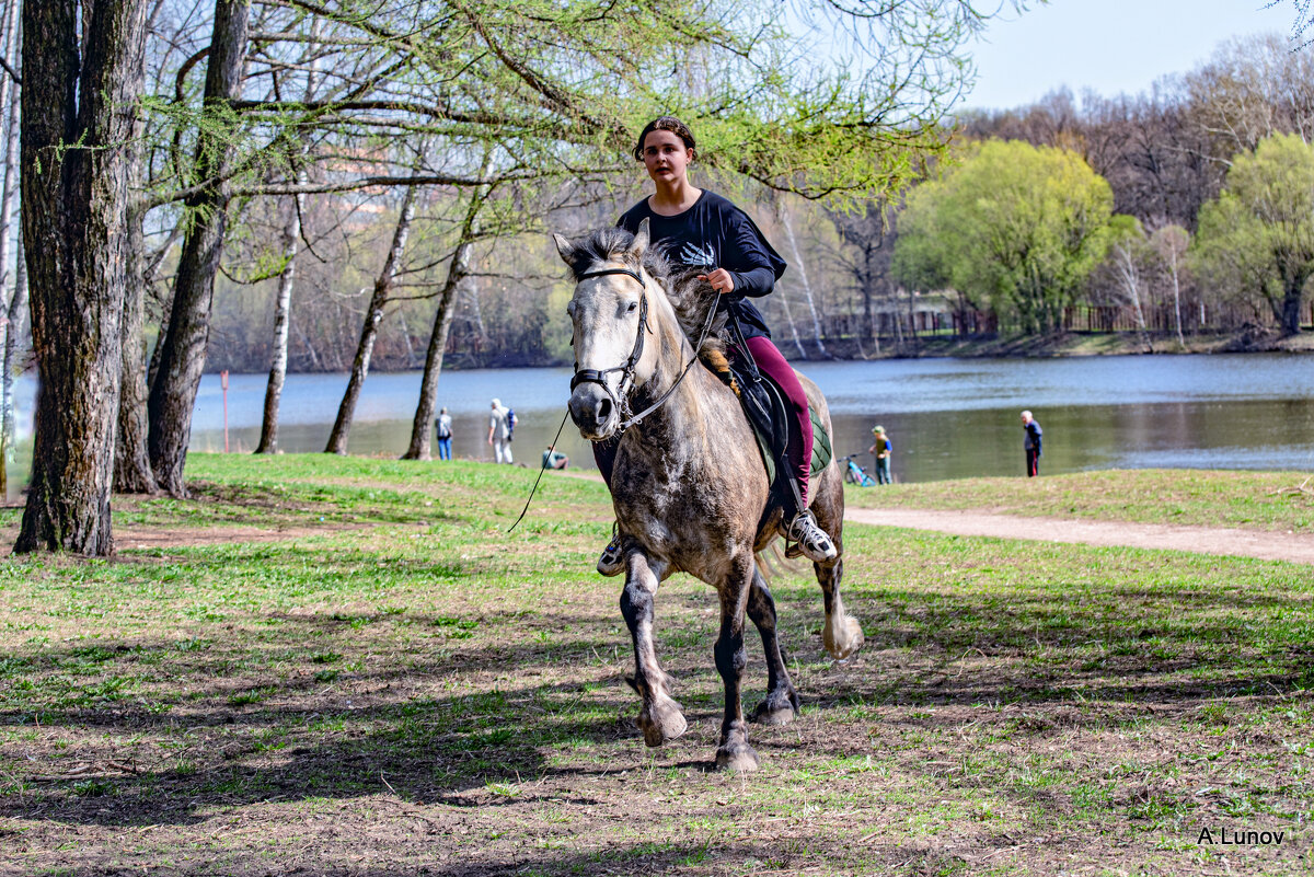 Наездница. - Anatoly Lunov Наездница. - Anatoly Lunov