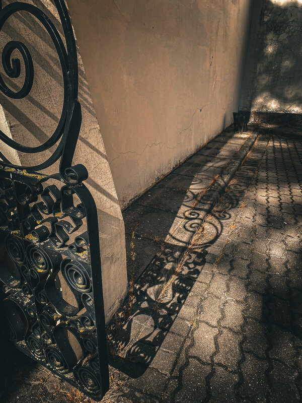 Кудрявые тени - Татьяна Аникина Кудрявые тени - Татьяна Аникина