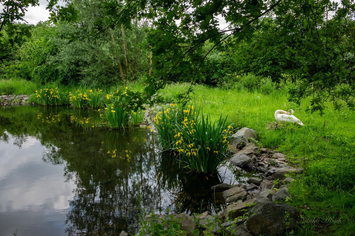 *** - Николай Гирш *** - Николай Гирш