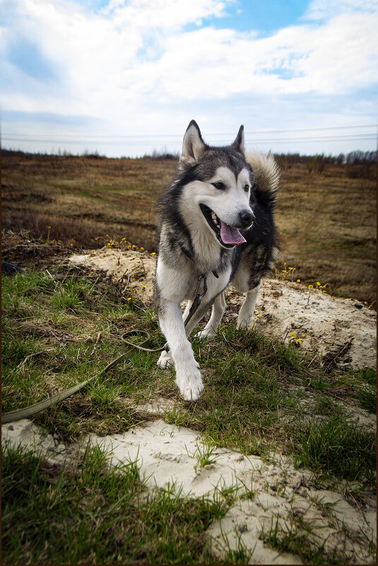 Ярик. - leff Postnov