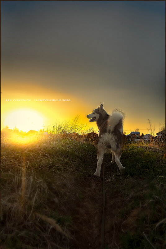 Ярик. - leff Postnov