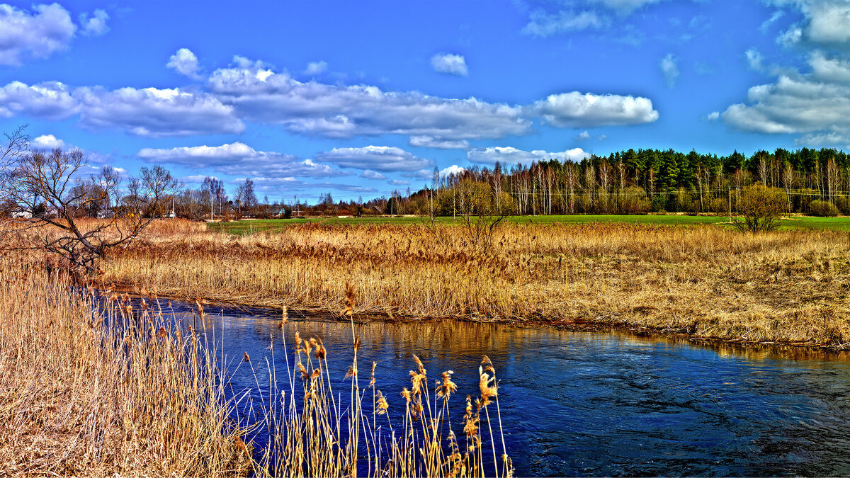 Цвета всенних красок - Григорий П Цвета всенних красок - Григорий П