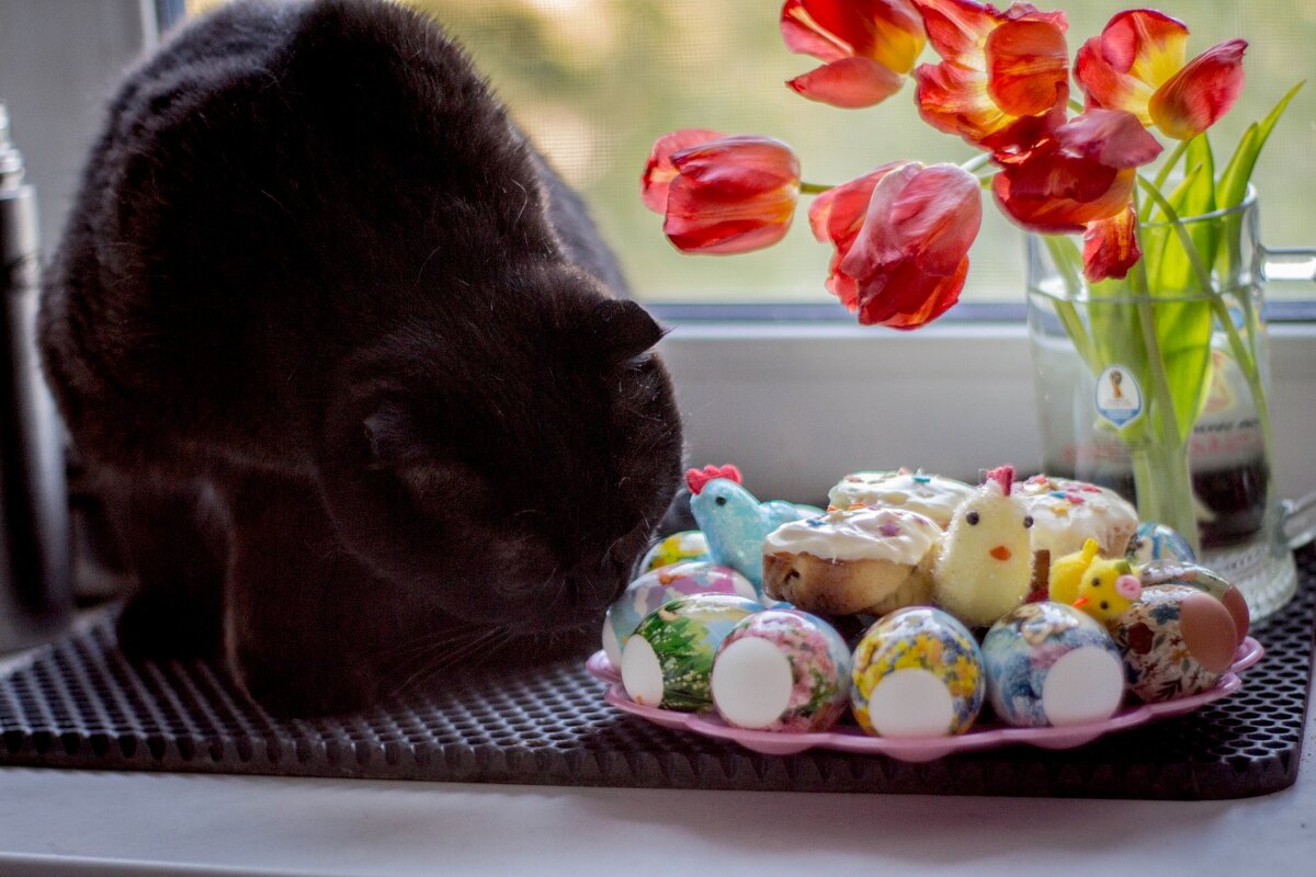 Православный кот - Тамара Федорова Православный кот - Тамара Федорова