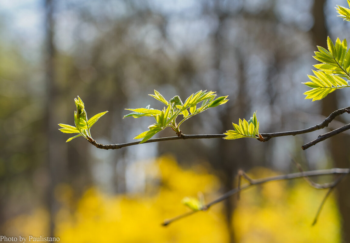 Пробуждение... - Владимир Жданов