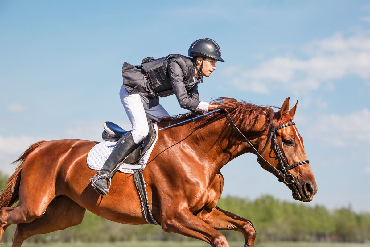 Конкур - SanSan 