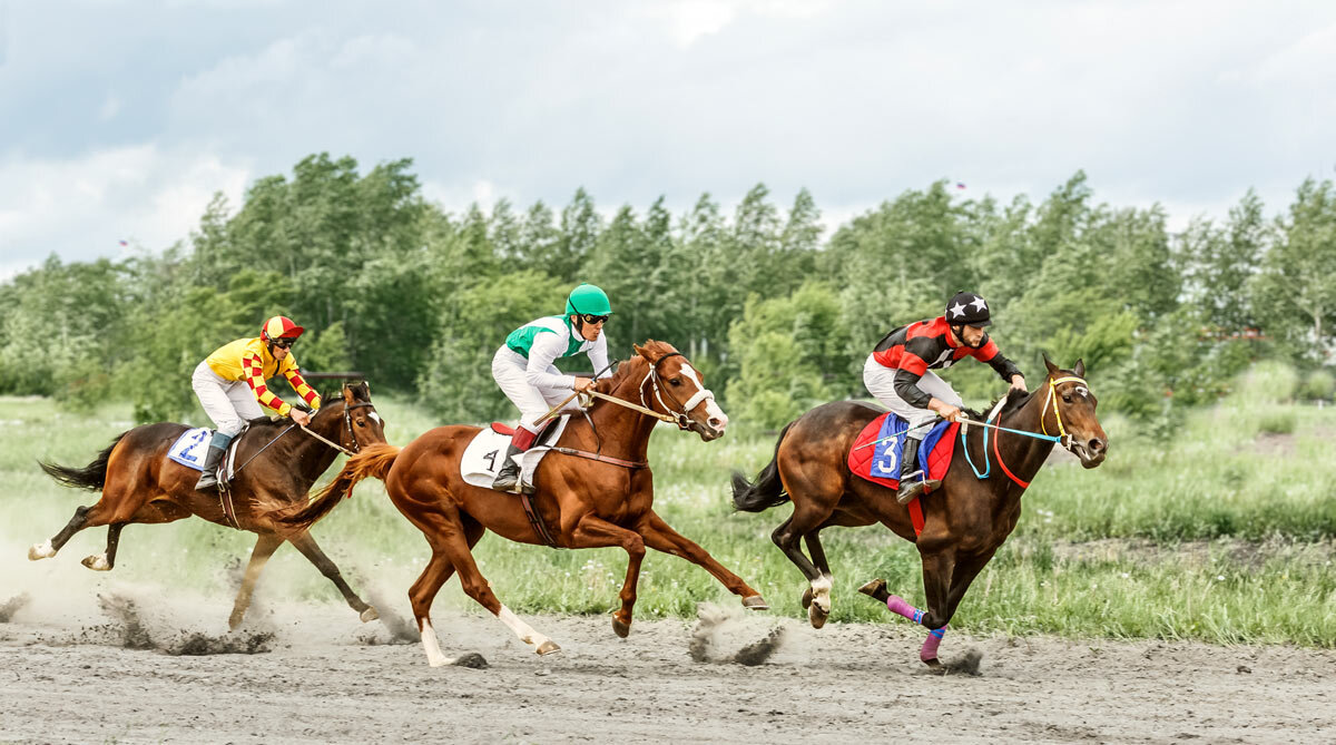 Скачки - SanSan 