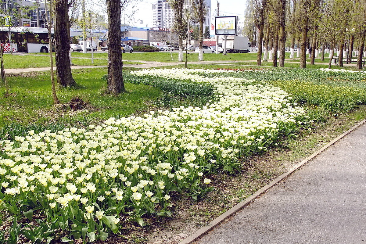 Цветочные реки - Фёдор Меркурьев Цветочные реки - Фёдор Меркурьев