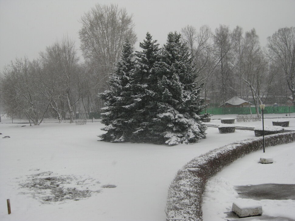 Зима в апреле. Год 2025 - Дмитрий Никитин