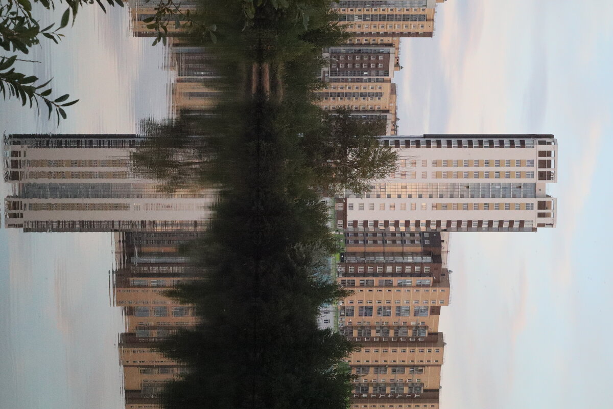 Отражение - Дмитрий Петров Отражение - Дмитрий Петров