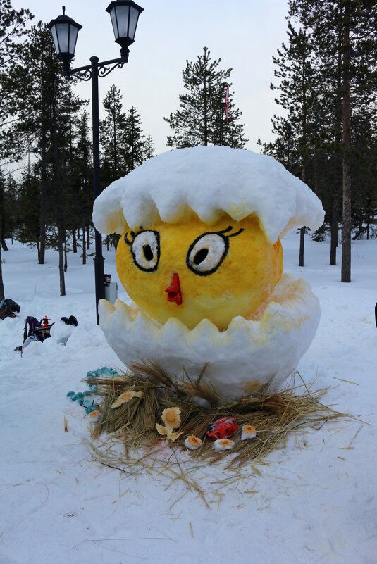 Фестивальные неожиданности - Ольга 