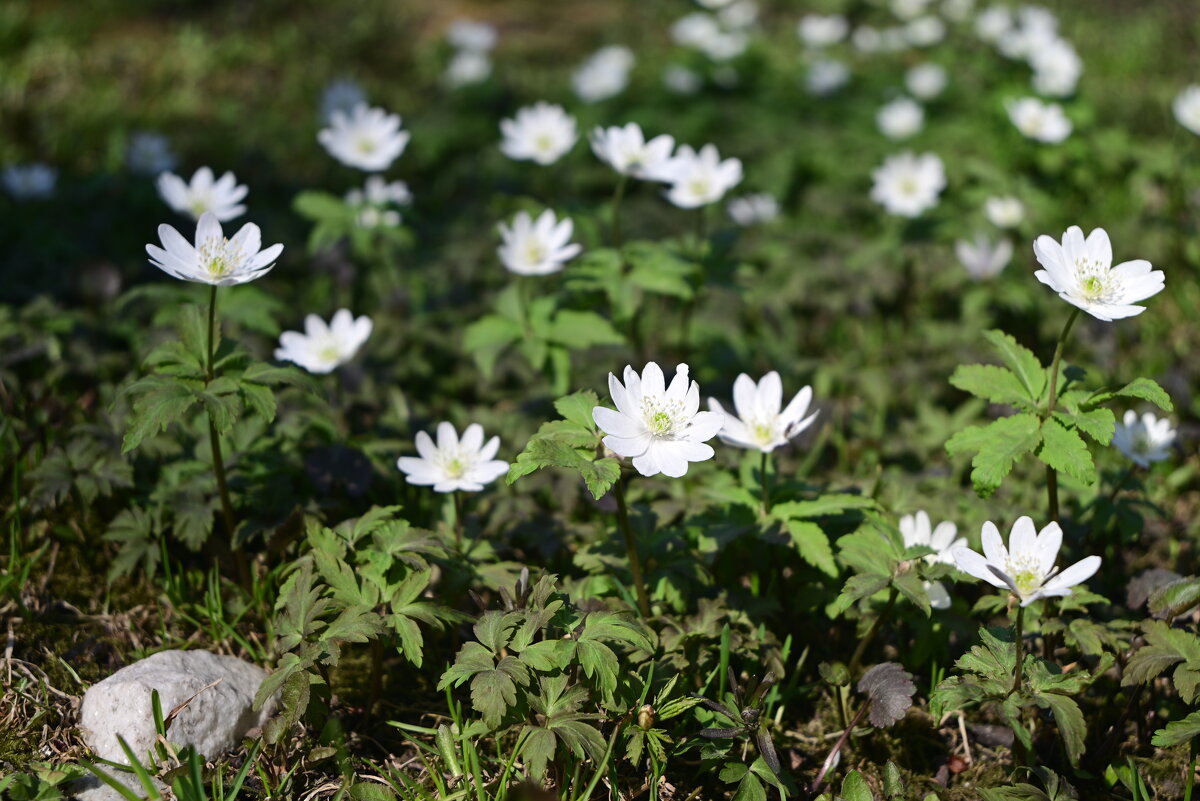 Тепло, застывшее в воздухе - Владислав Левашов Тепло, застывшее в воздухе - Владислав Левашов
