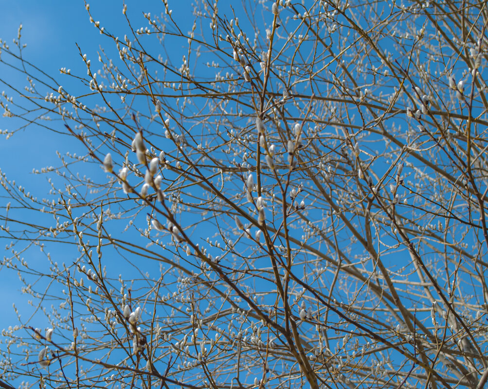☀️ - Анастасия Логинова