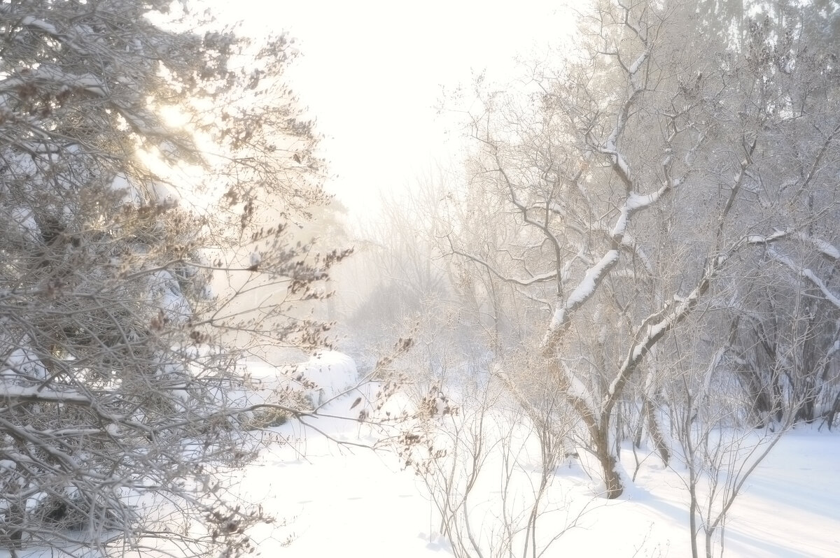 Воспоминание о зиме. - Сергей Сергеев
