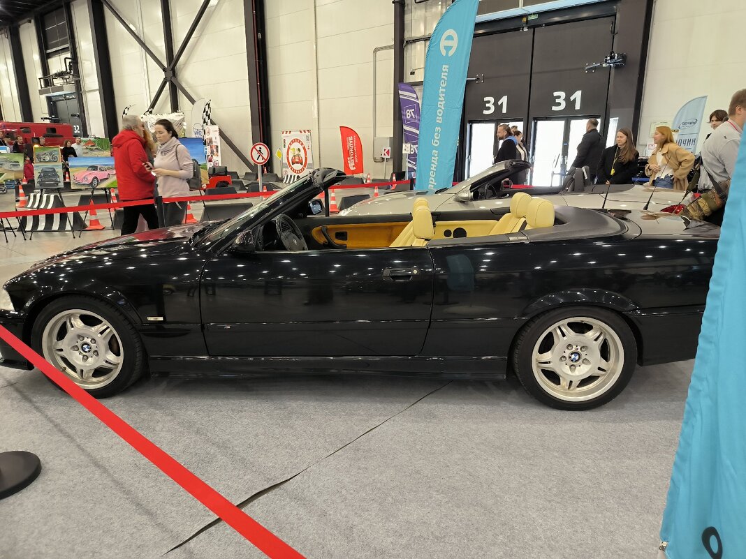 Такие разные автомобили. - Ольга 