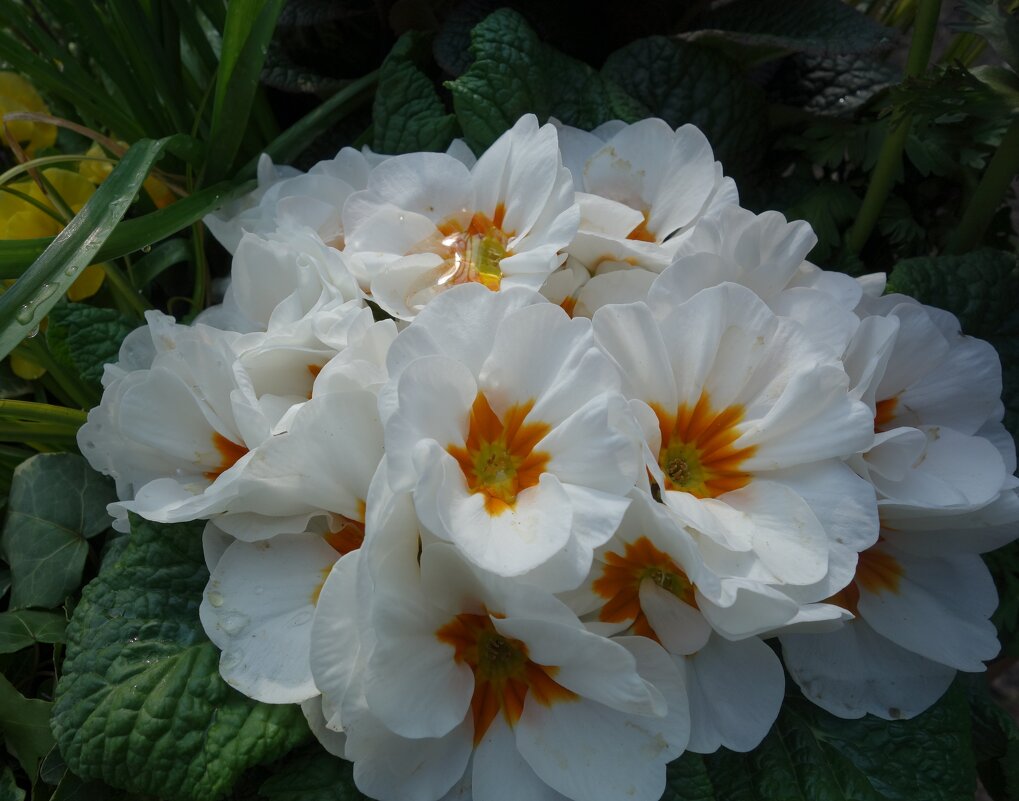 ... - Галина ... - Галина