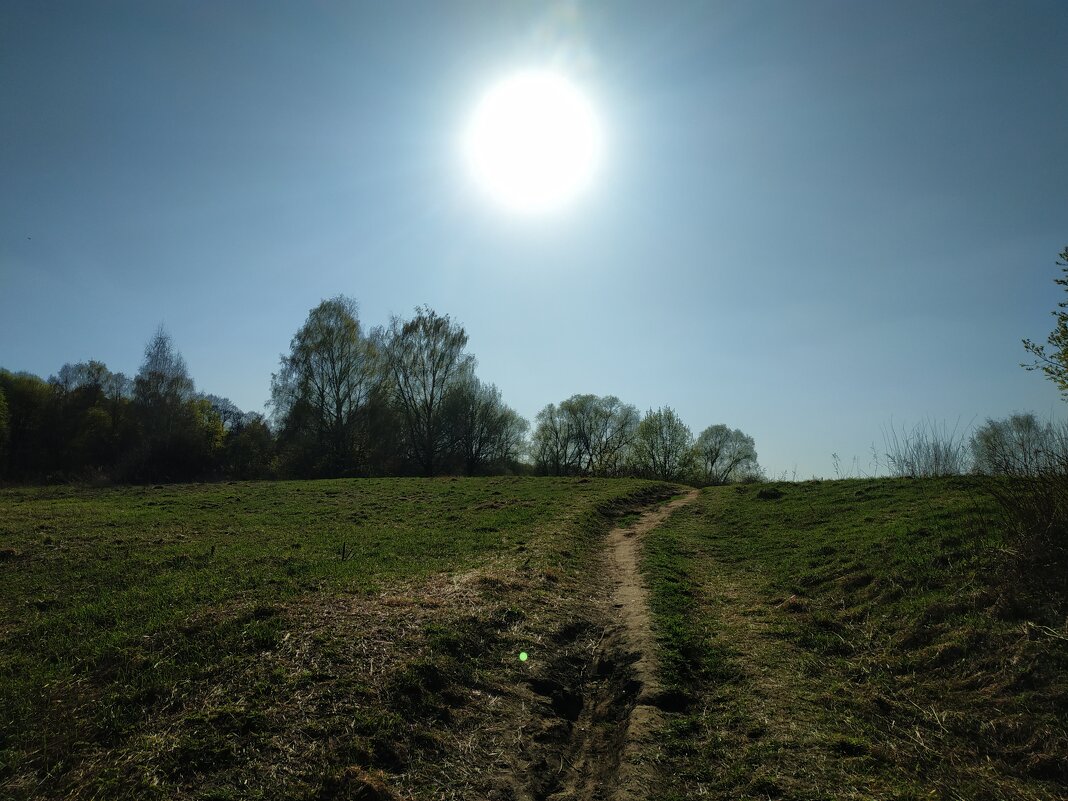 В моём храме - Андрей Лукьянов