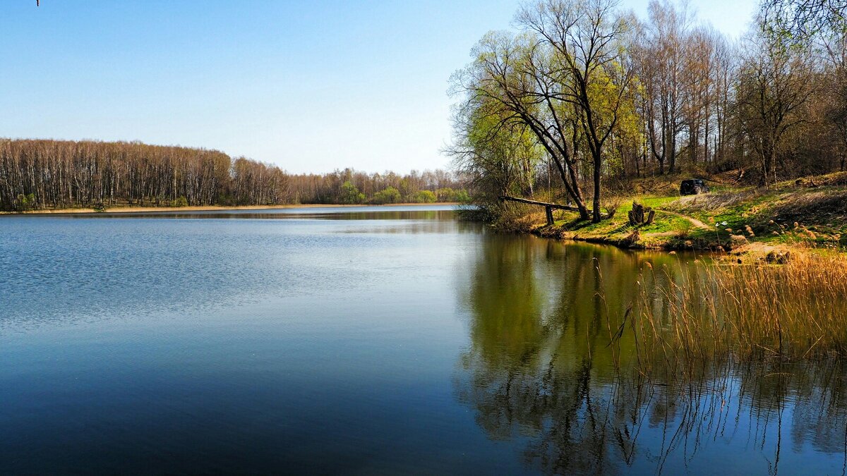 Благодать (репортаж из поездок по области) - Милешкин Владимир Алексеевич 