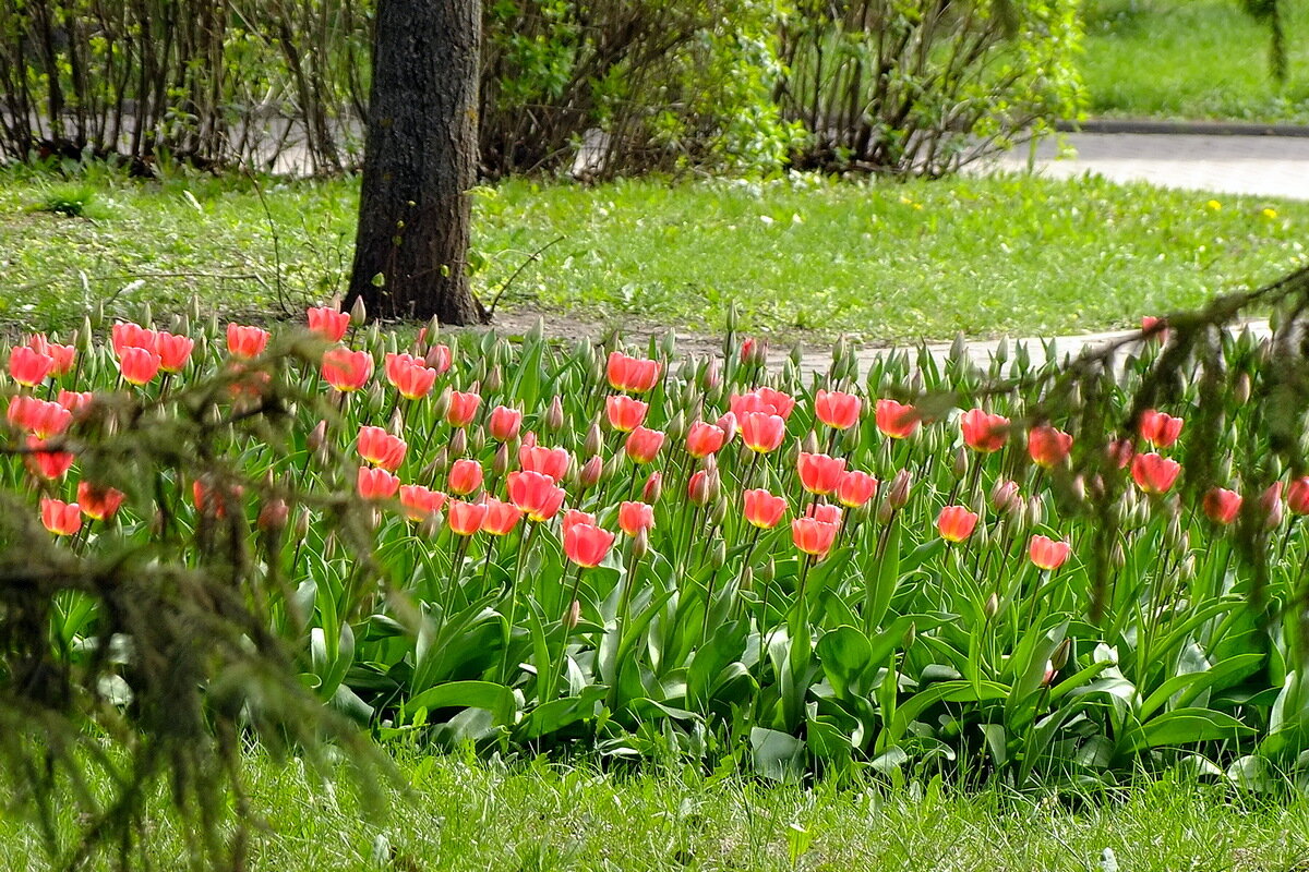 Весенний гламур - Фёдор Меркурьев Весенний гламур - Фёдор Меркурьев