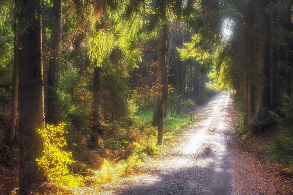 *** - Сергей Могутов *** - Сергей Могутов