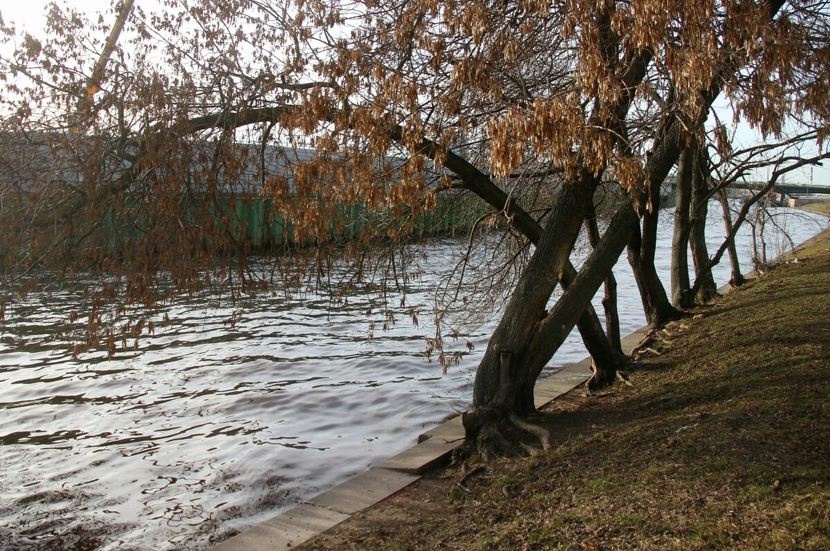 р. Охта - Наталья Герасимова