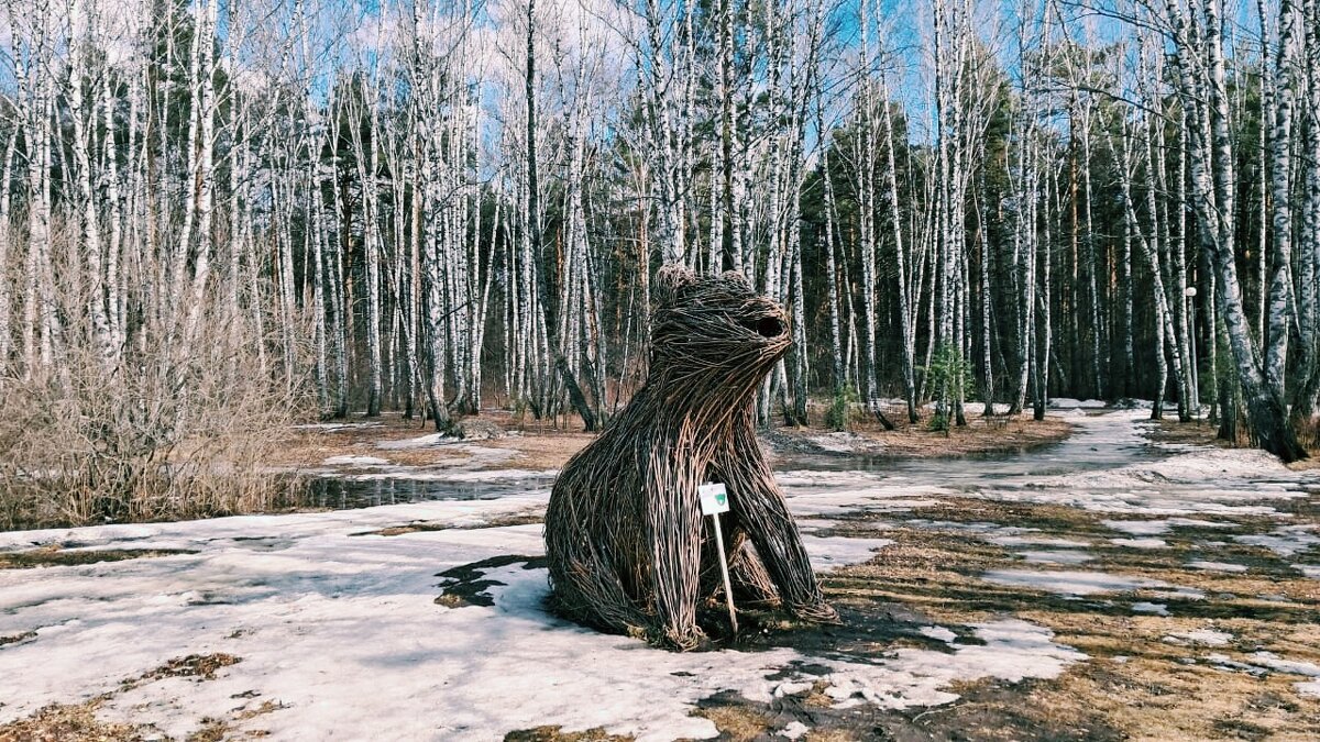 Лесное чудо - Георгиевич 